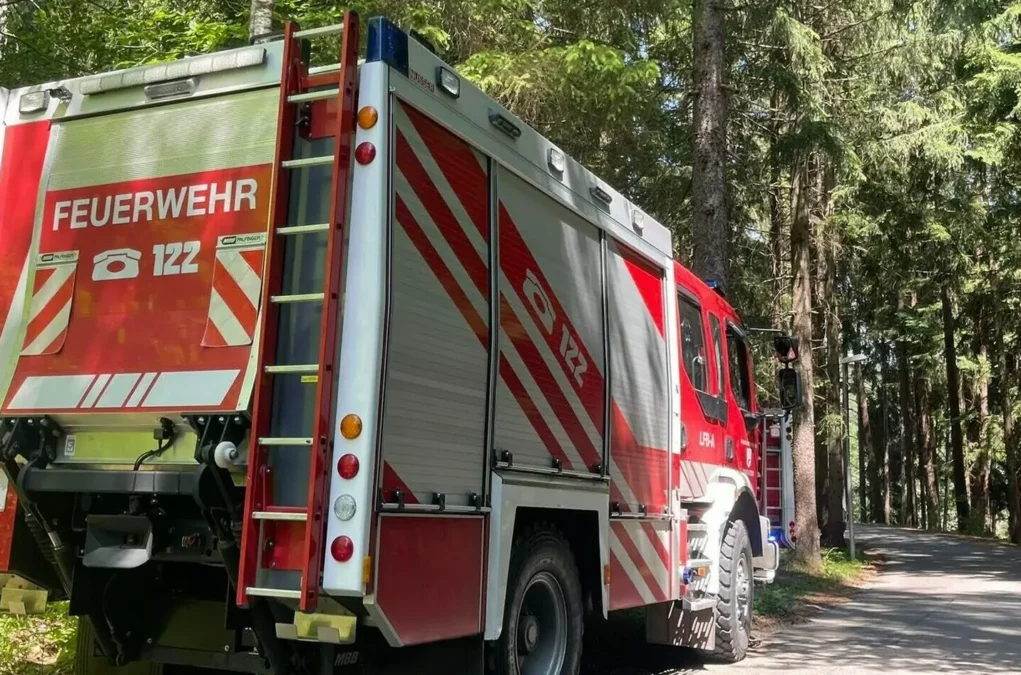 Symbolfoto zu einem Beitrag von 5min.at: Eine Kärntner Feuerwehr bei einem Waldeinsatz