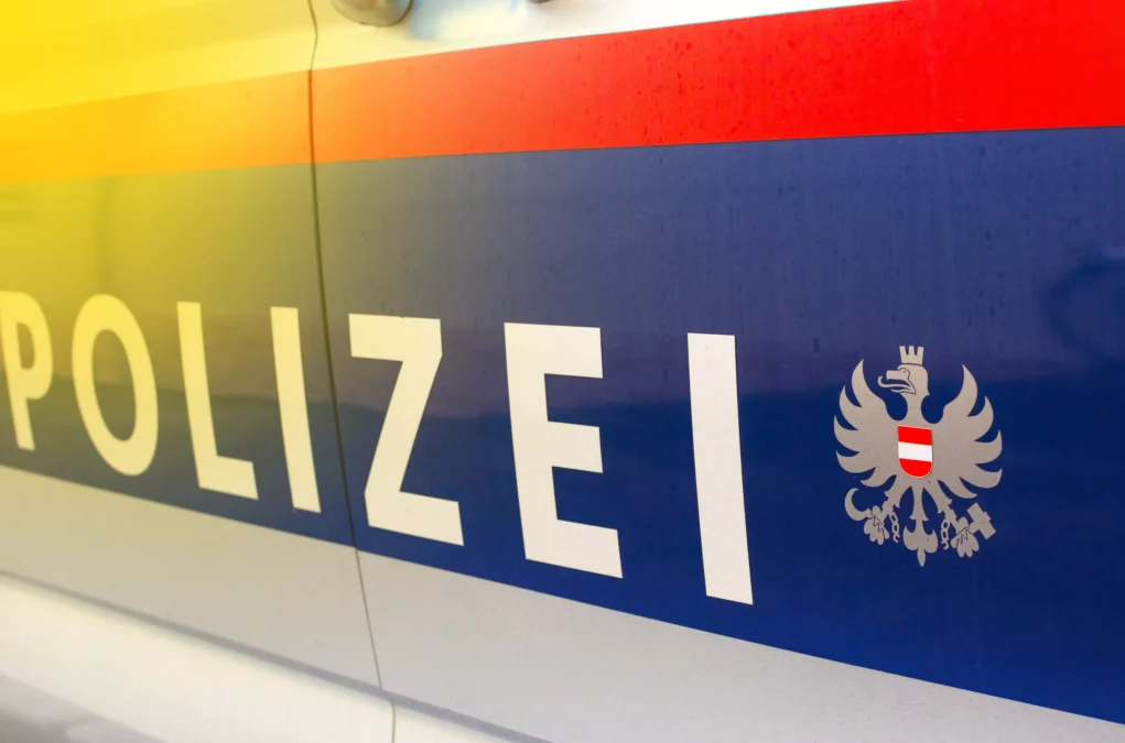 Symbolfoto von 5min.at: Polizeiauto im Einsatz.