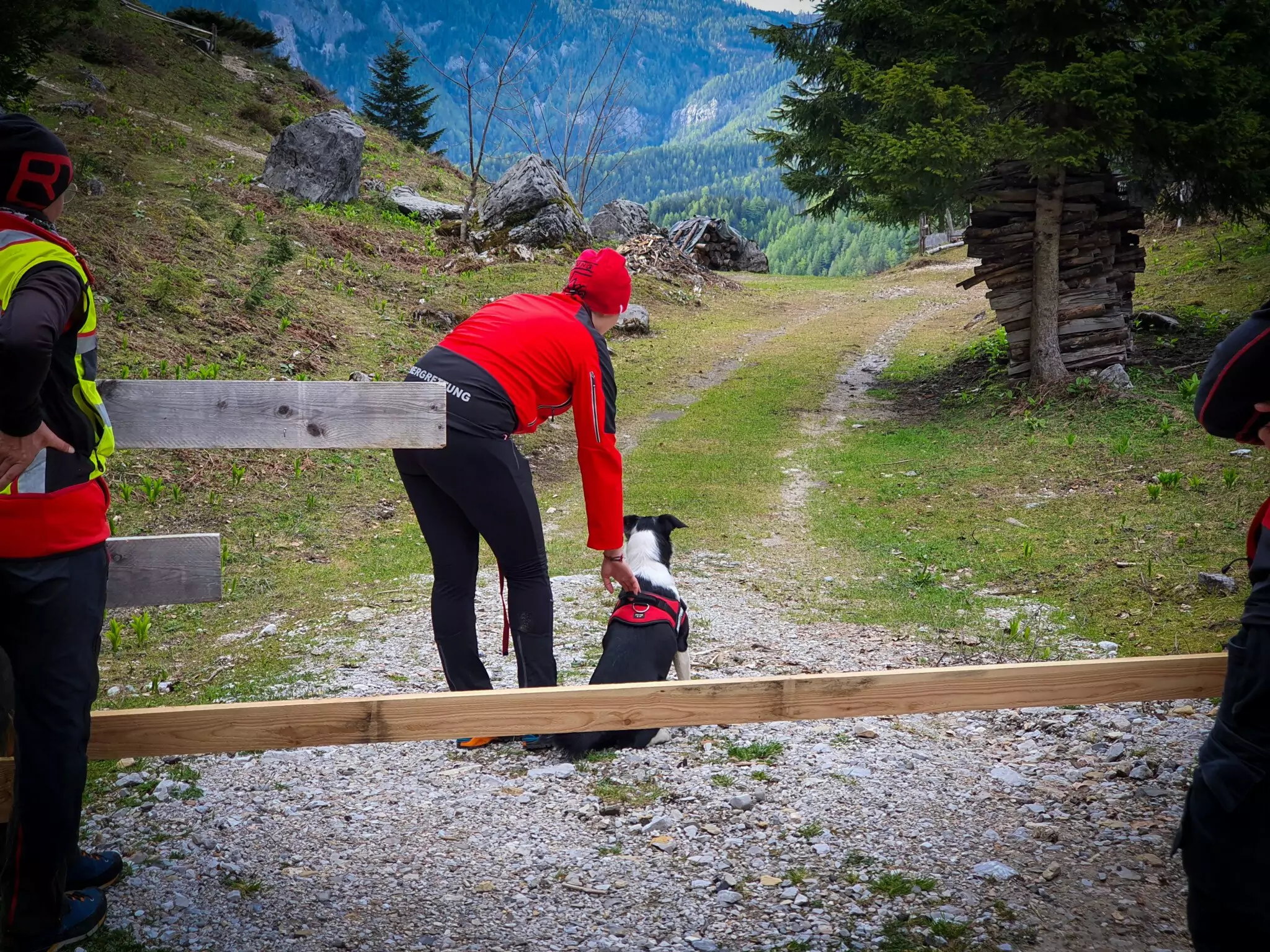 Symbolfoto von 5min.at: Ein Hundeführer mit seinem Hund bei der Suche nach einer Person