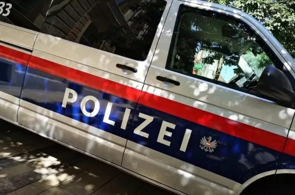 Symbolfoto von 5min.at: Polizeiauto bei Tag.