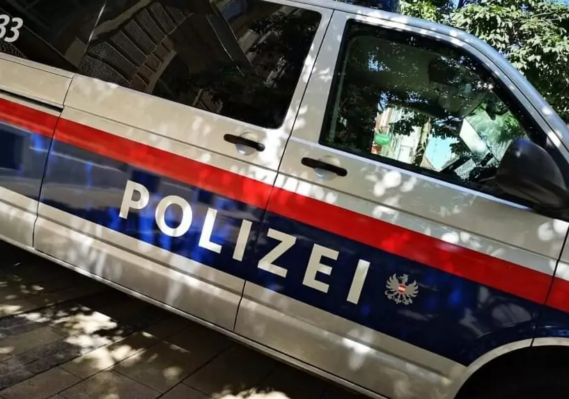 Symbolfoto von 5min.at: Polizeiauto bei Tag.