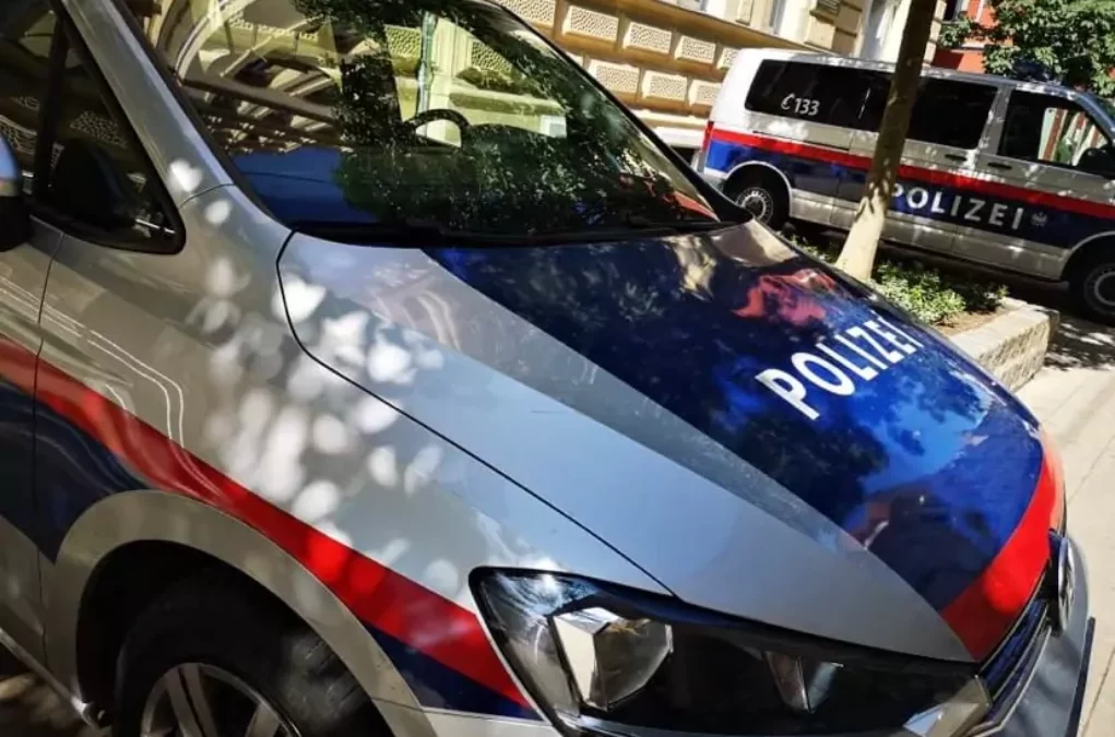 Symbolfoto von 5min.at: Polizeiautos bei Tag.