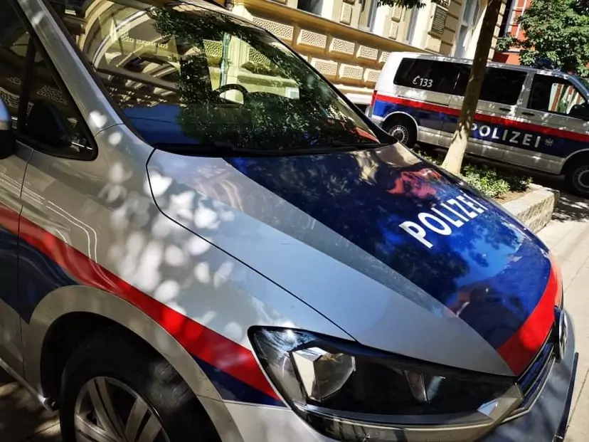 Symbolfoto von 5min.at: Polizeiautos bei Tag.