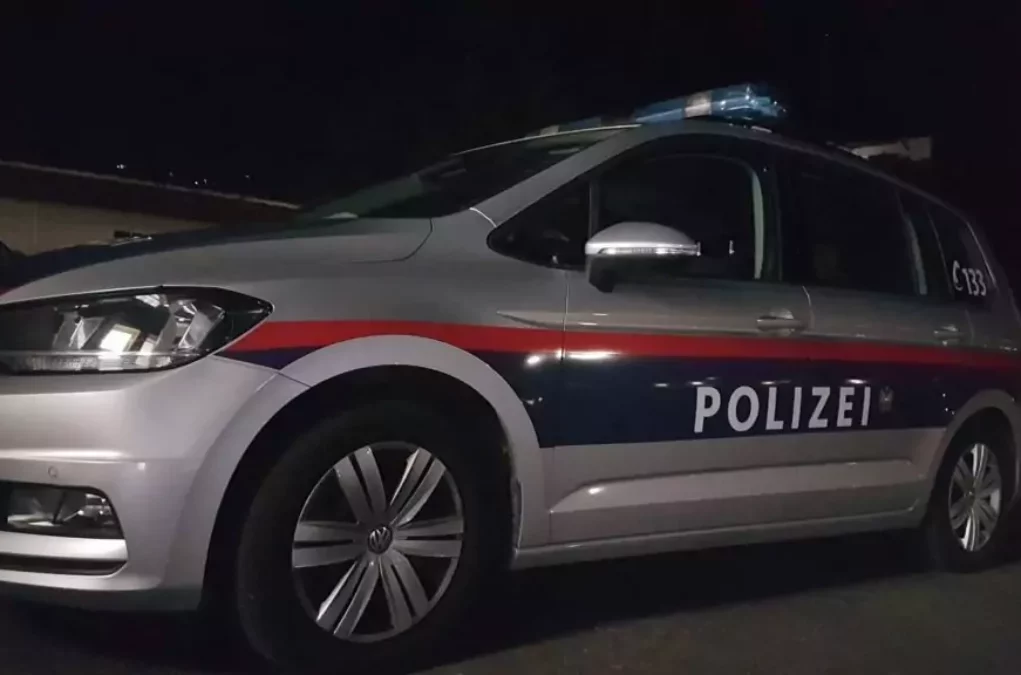 Symbolfoto von 5min.at: Polizeiauto bei Nacht.