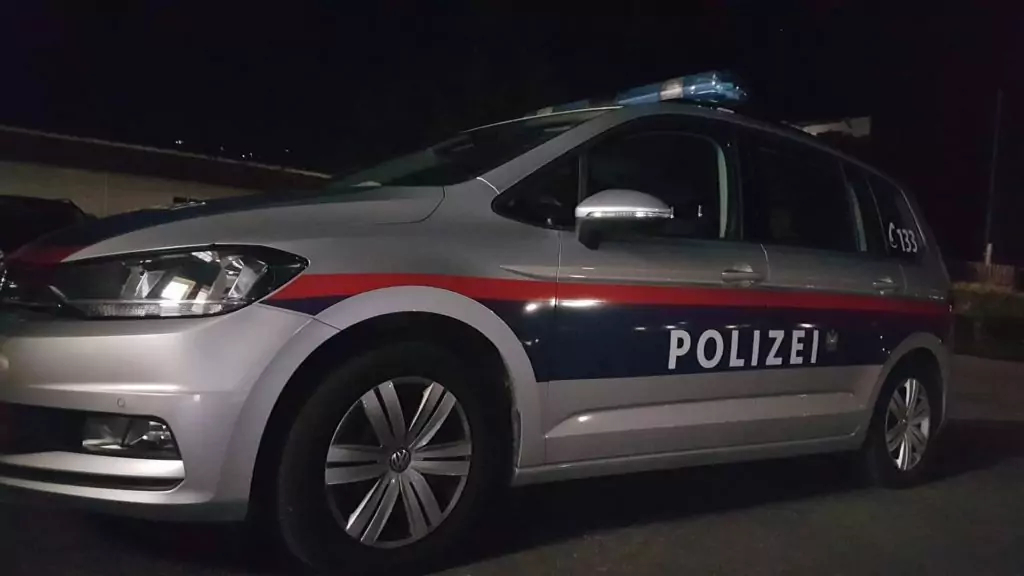 Symbolfoto von 5min.at: Polizeiauto bei Nacht.