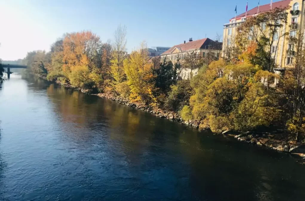 Symbolfoto von 5min.at: die Mur im Herbst