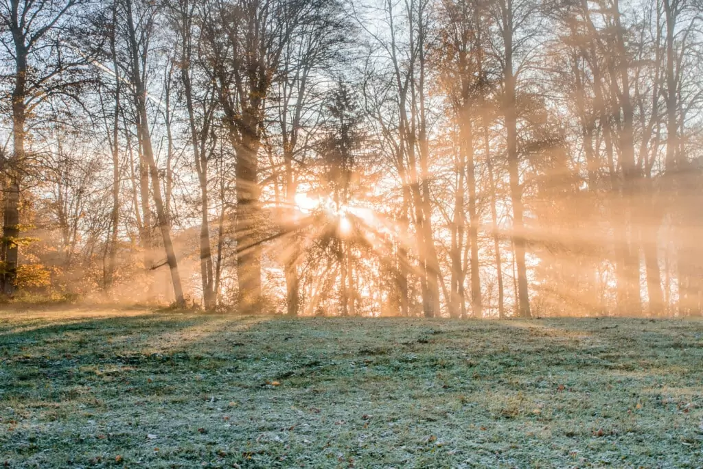 Symbolfoto zu einem Beitrag von 5min.at: Herbstlandschaft mit warmen Sonnenstrahlen