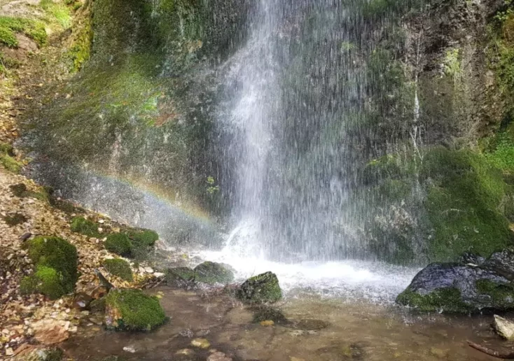 Symbolfoto zu einem Beitrag von 5min.at: Glücksfelsen in Ludmannsdorf im Frühling