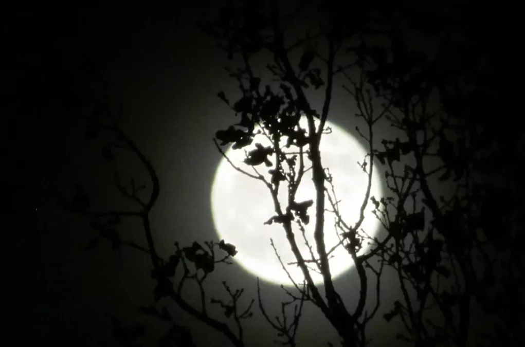 Himmelsspektakel: Heute Nacht gibt es eine partielle Mondfinsternis