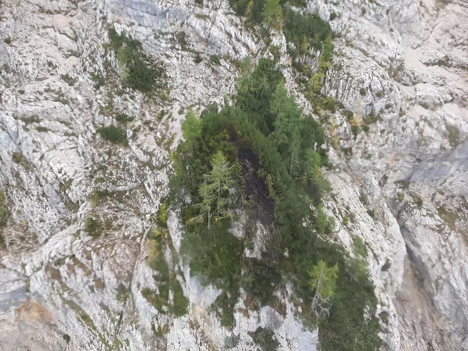 Ein Bild auf 5min.at zeigt die 60 Quadratmeter große Fläche am Ferlacher Horn, welche von dem Waldbrand betroffen war.