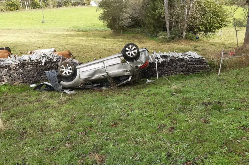 Über Böschung gestürzt: Verletzter konnte sich selbst aus Auto retten