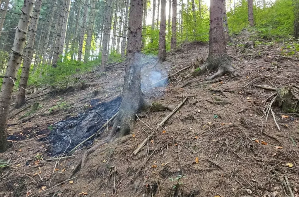 Foto auf 5min.at zeigt Rauchwaden die von einem Waldbrand aufsteigen.