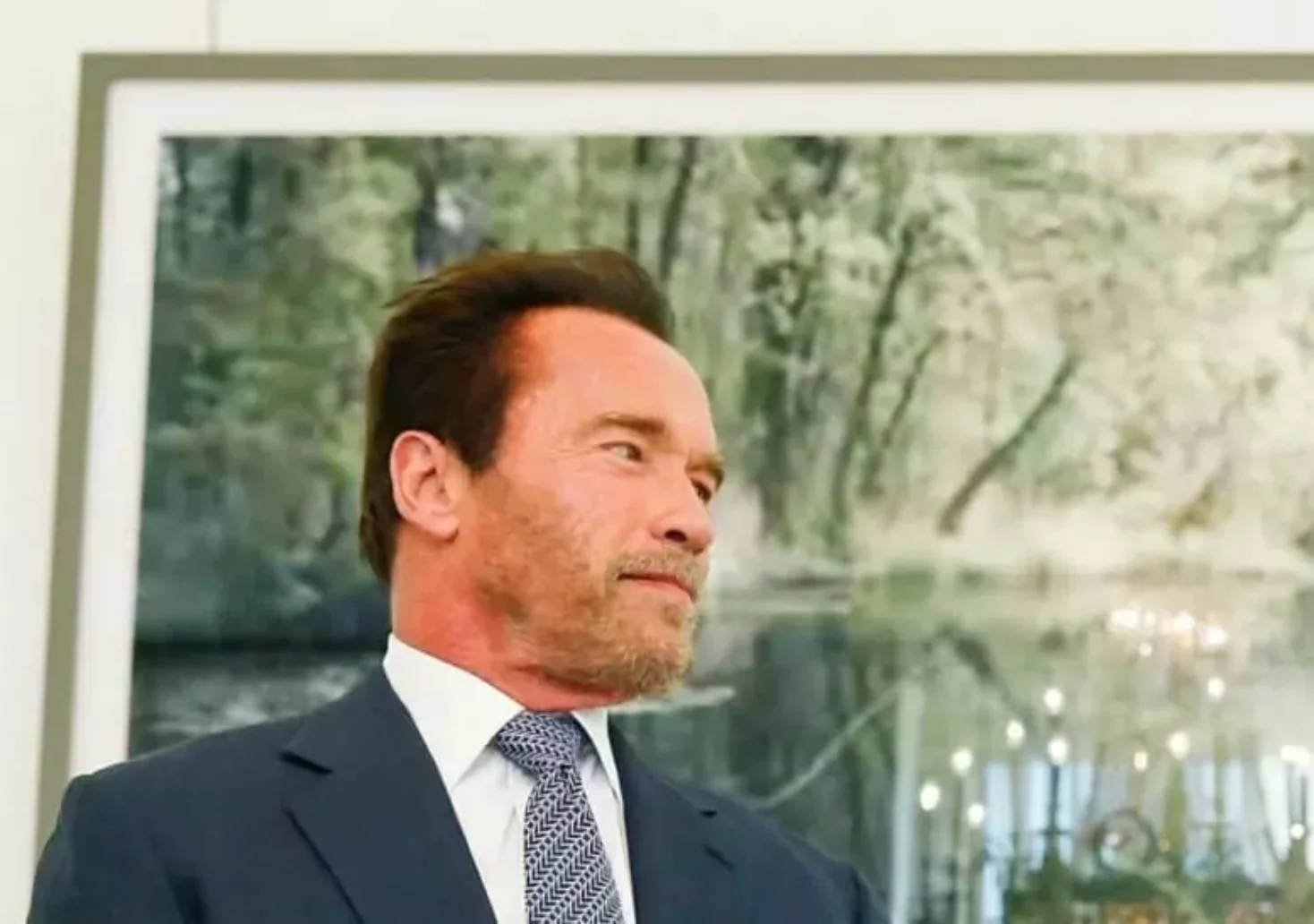 Foto in Beitrag von 5min.at: Zu sehen ist Arnold Schwarzenegger vor einem gro&szlig;en Wandbild.