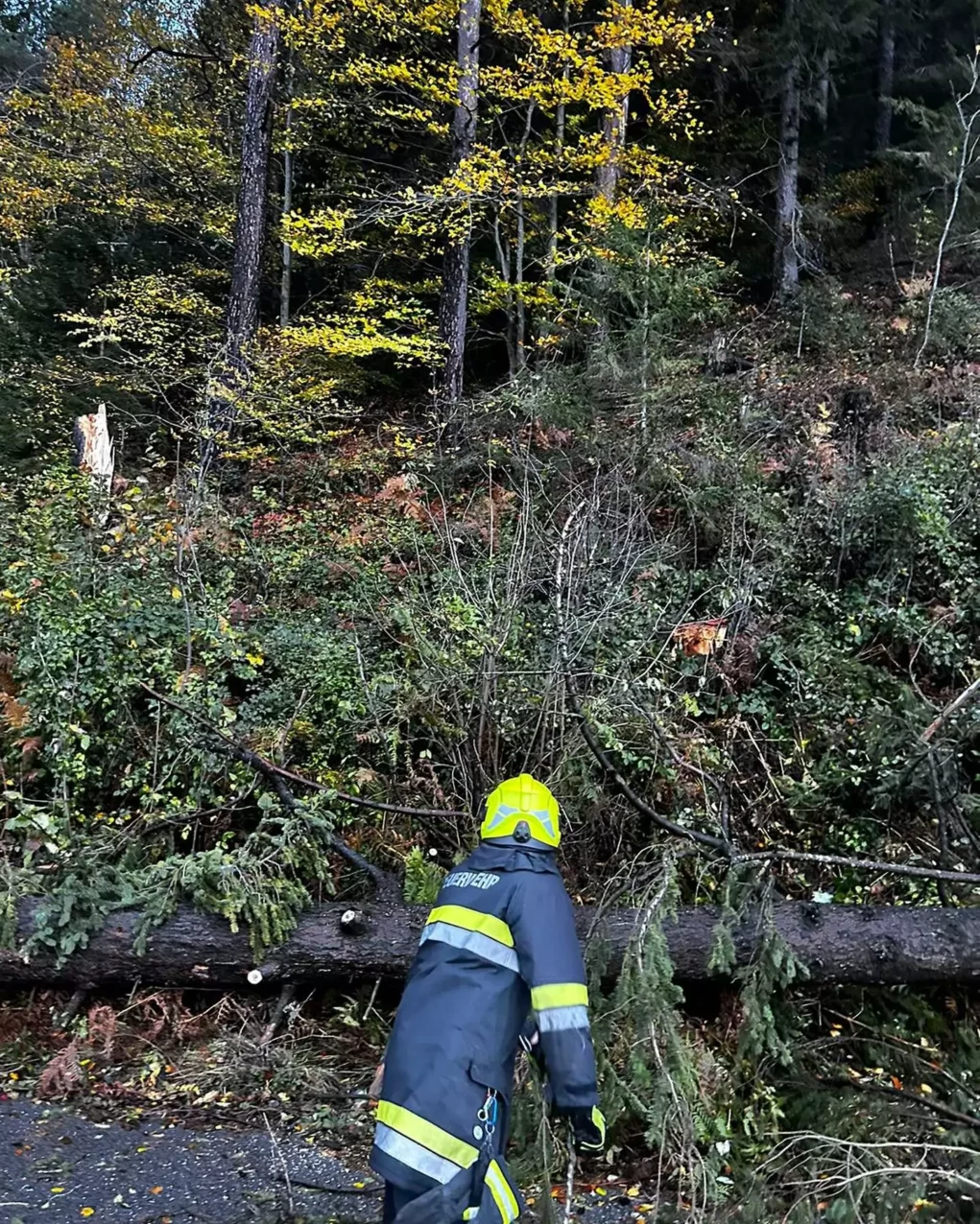 Bild auf 5.min.at zeigt Florianis bei Unwettereinsätzen in Kärnten.