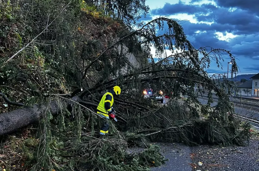 Bild auf 5.min.at zeigt Florianis bei Unwettereinsätzen in Kärnten.