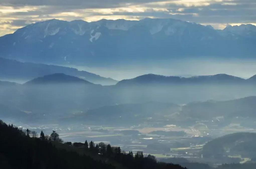 Vorwürfe gegen Schell: Nun wird Schule vielleicht umbenannt
