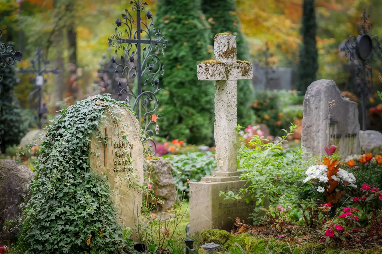 Foto in Beitrag von 5min.at: Zu sehen ist ein Friedhof im Grünen mit einigen Kreuzen.