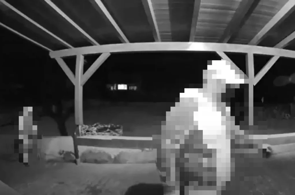 Foto auf 5min.at: Die zwei Täter stehen vor dem Gebäude.