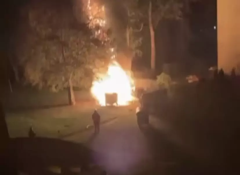 Das Bild auf 5min.at zeigt: Einen Müllcontainer in Flammen