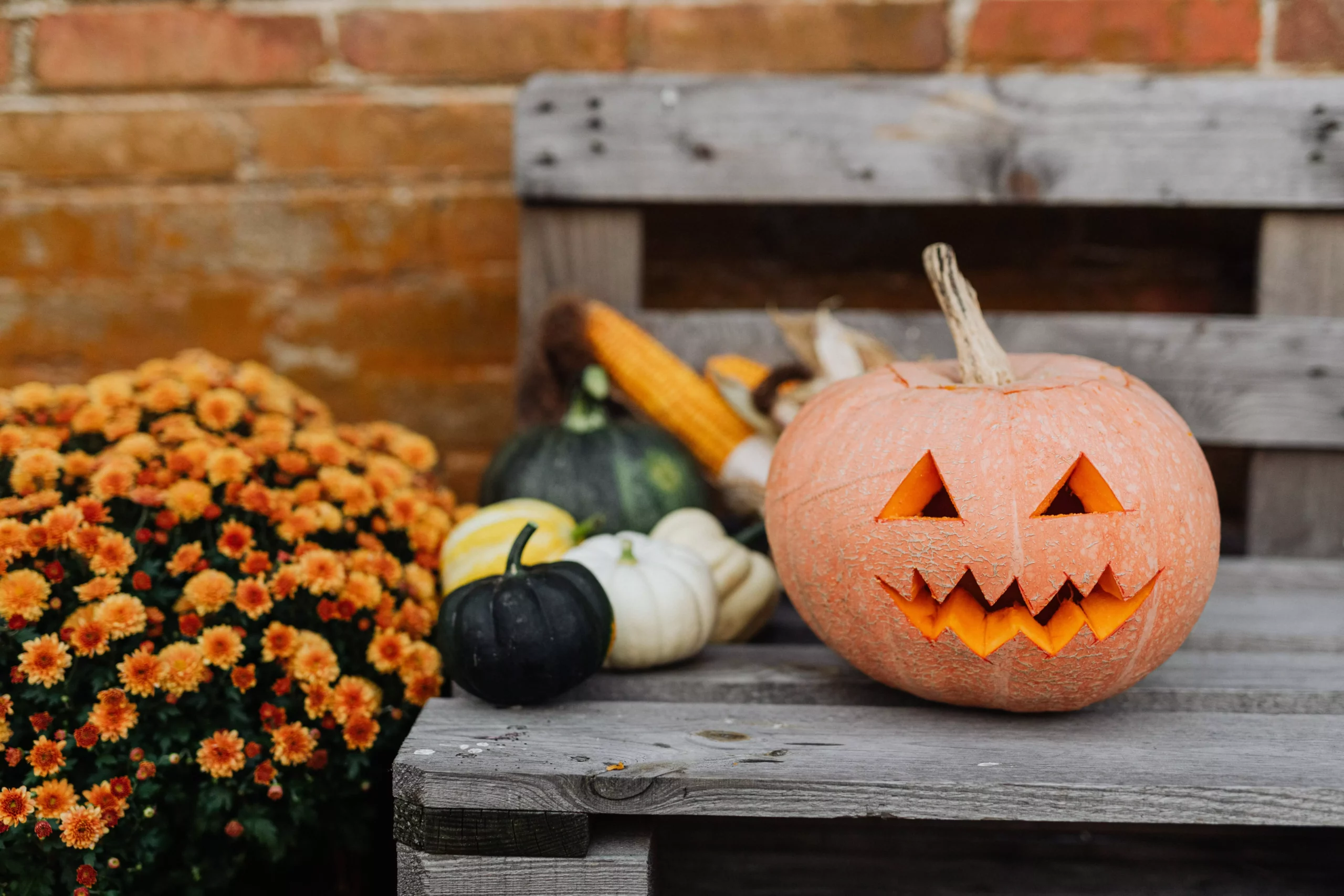 Ein Bild auf 5min.at zeigt einen Halloween-Kürbis.