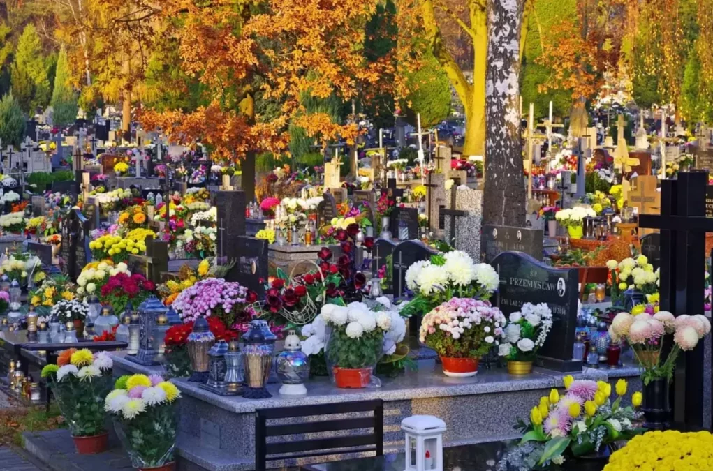 Symbolbild auf 5min.at zeigt Blumenschmuck auf Friedhof.