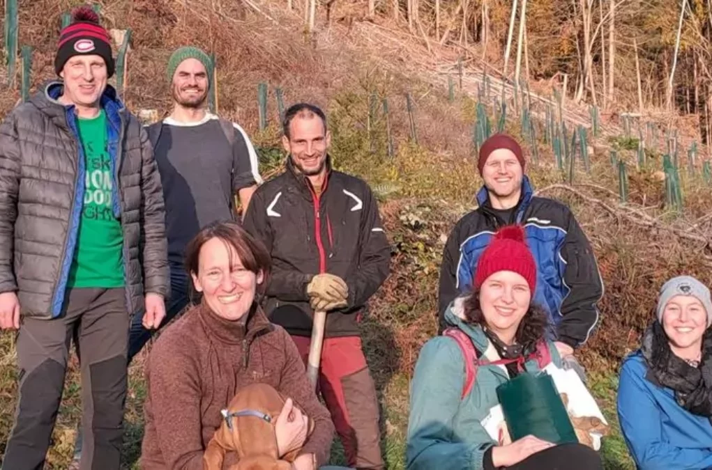 Ein Bild auf 5min.at zeigt Mitarbeiter der FH K&auml;rnten beim Aufforsten der Windwurffl&auml;chen am Oswaldiberg.