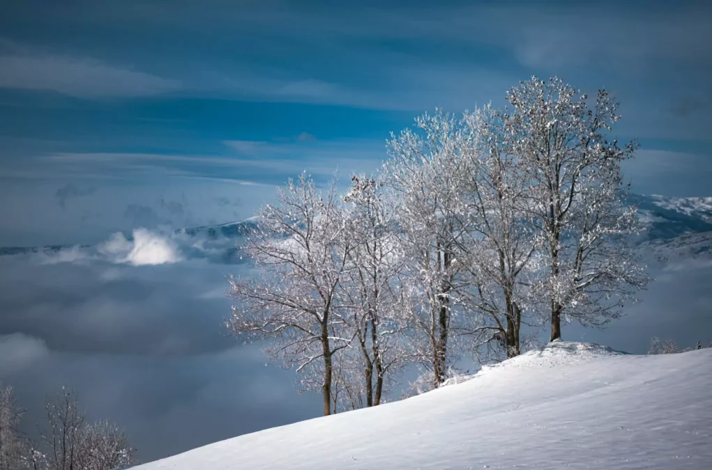 Ein Bild auf 5min.at zeigt eine Schneelandschaft in Kärnten.