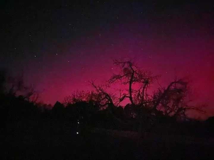Ein Bild auf 5min.at zeigt pinkfarbene Polarlichter, die am Rosentaler Nachthimmel leuchten.