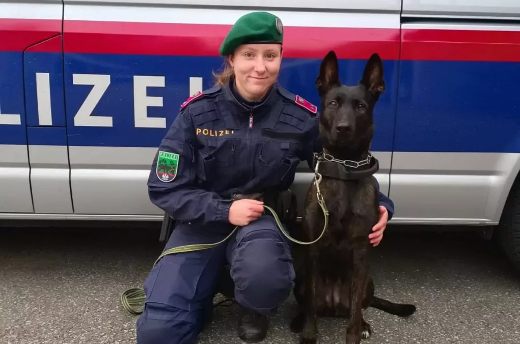 Ein Bild auf 5min.at zeigt Polizeidiensthündin Oana mit Diensthundeführerin Christina.