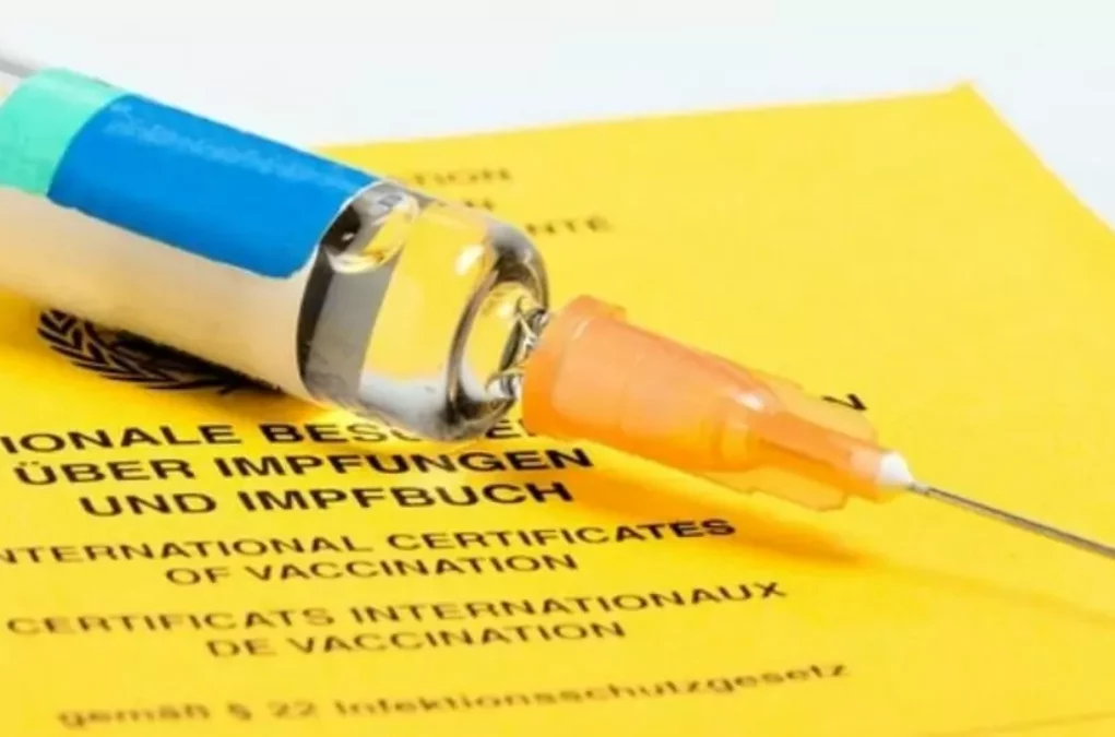 Foto in Beitrag von 5min.at: Zu sehen ist eine Impfnadel auf einem Impfpass.