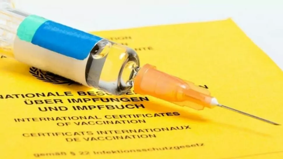 Foto in Beitrag von 5min.at: Zu sehen ist eine Impfnadel auf einem Impfpass.