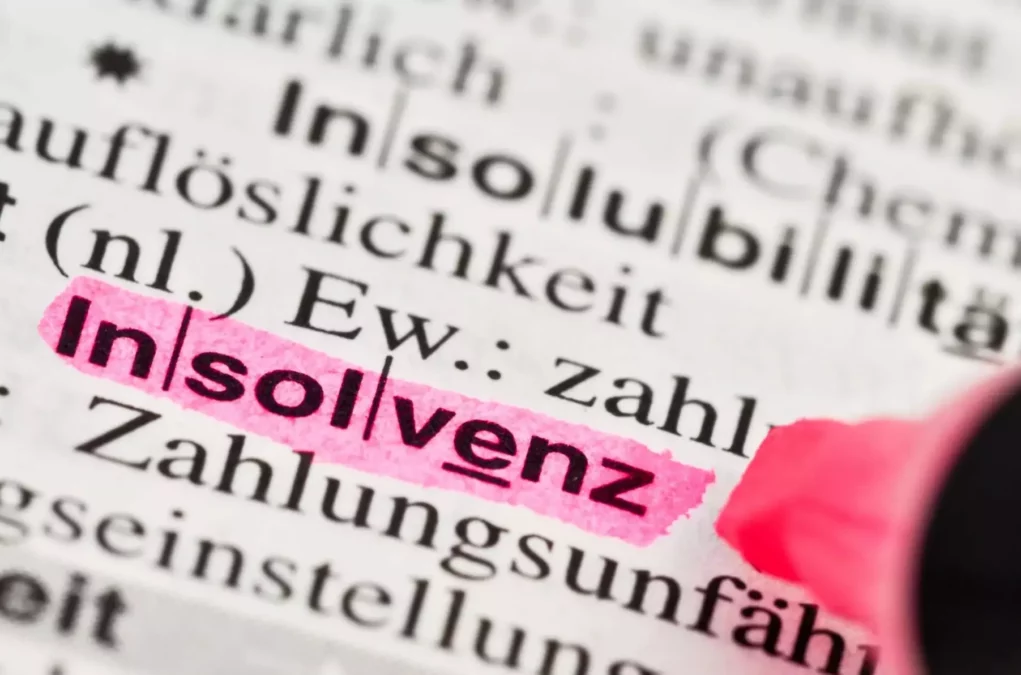 Ein Bild auf 5min.at zeigt ein W&ouml;rterbuch, in dem gerade das Wort Insolvenz mit einem pinken Marker markiert wird.