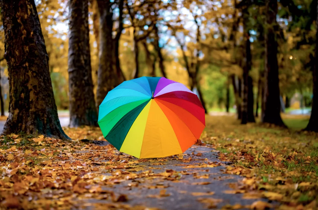 Das Bild auf 5min.at zeigt einen bunten Herbsttag.