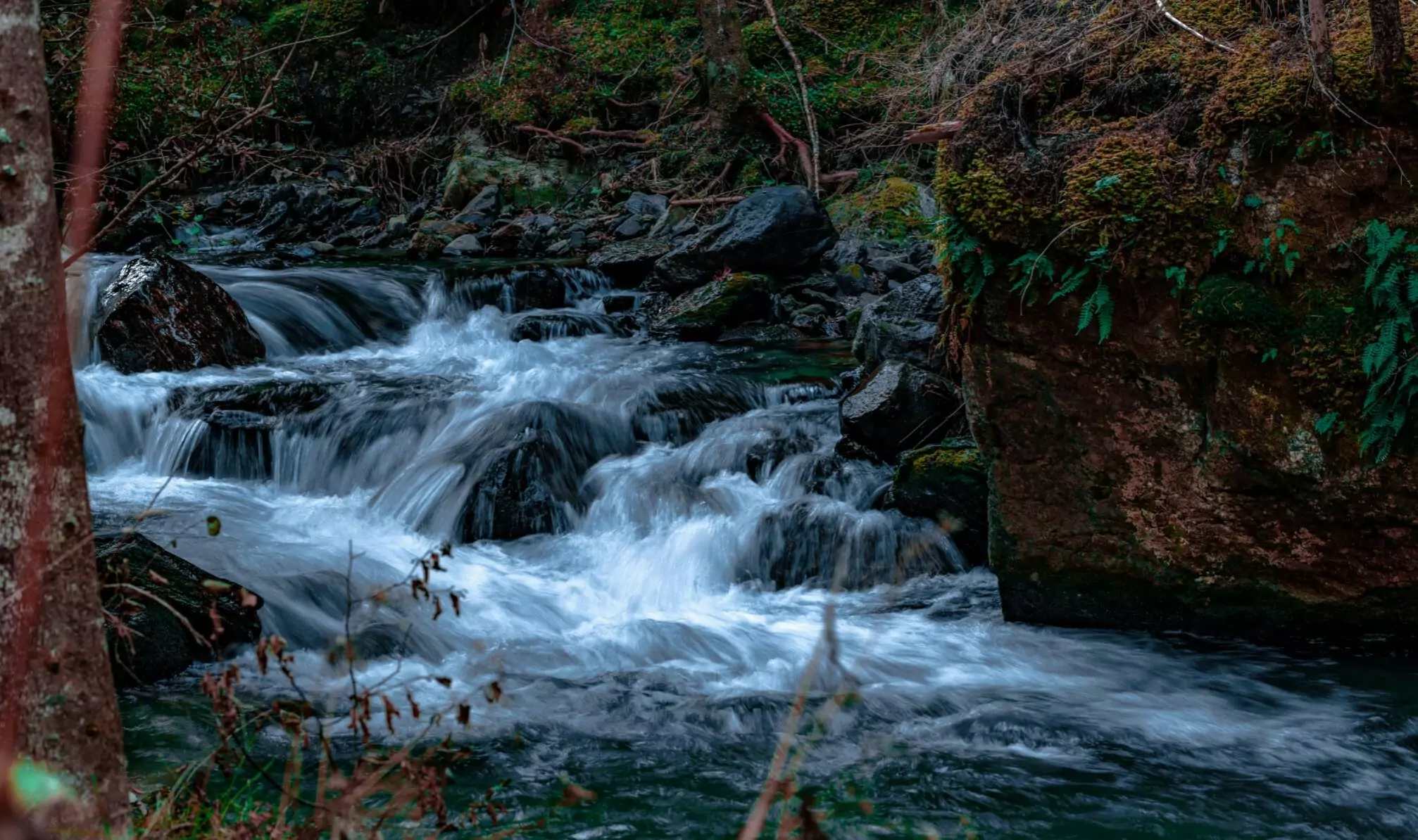 Ein Bild auf 5min.at zeigt einen plätschernden Bach.