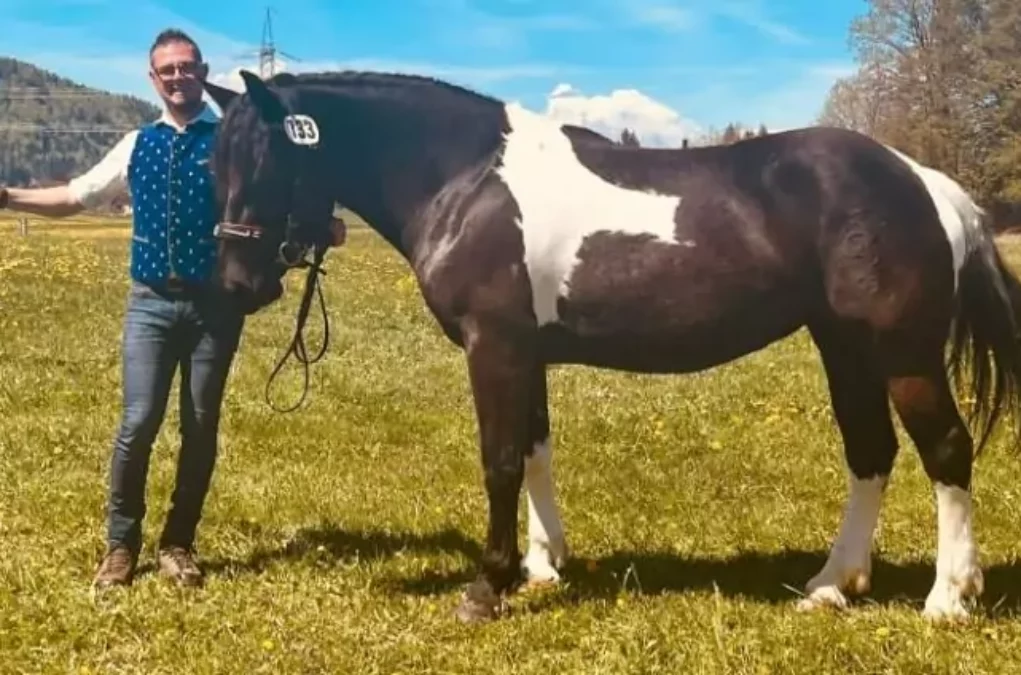 Foto in Beitrag von 5min.at: Zu sehen ist Christoph Kazianka, der Zeit mit seinem Pferd verschenken möchte.