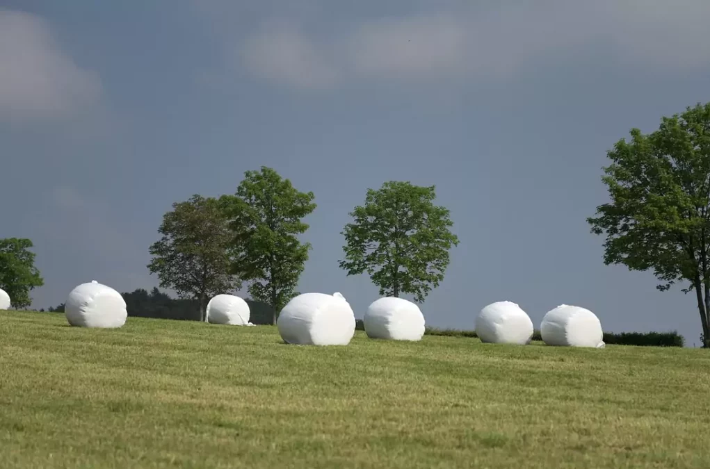 Ein Bild auf 5min.at zeigt Siloballen, die auf einem grünen Feld liegen. Dahinter stehen Bäume.