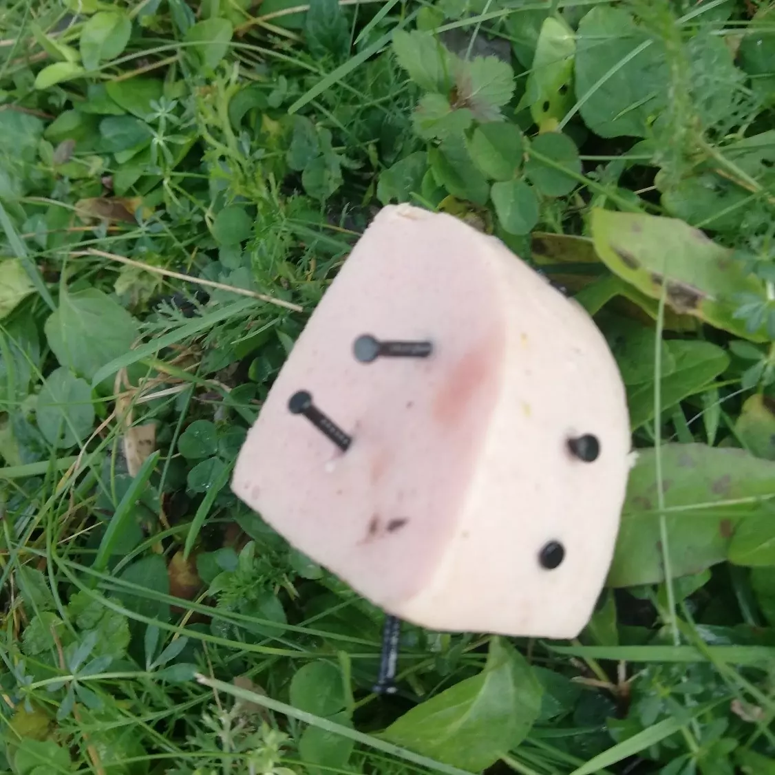 Bild auf 5min.at zeigt einen Nagelköder.