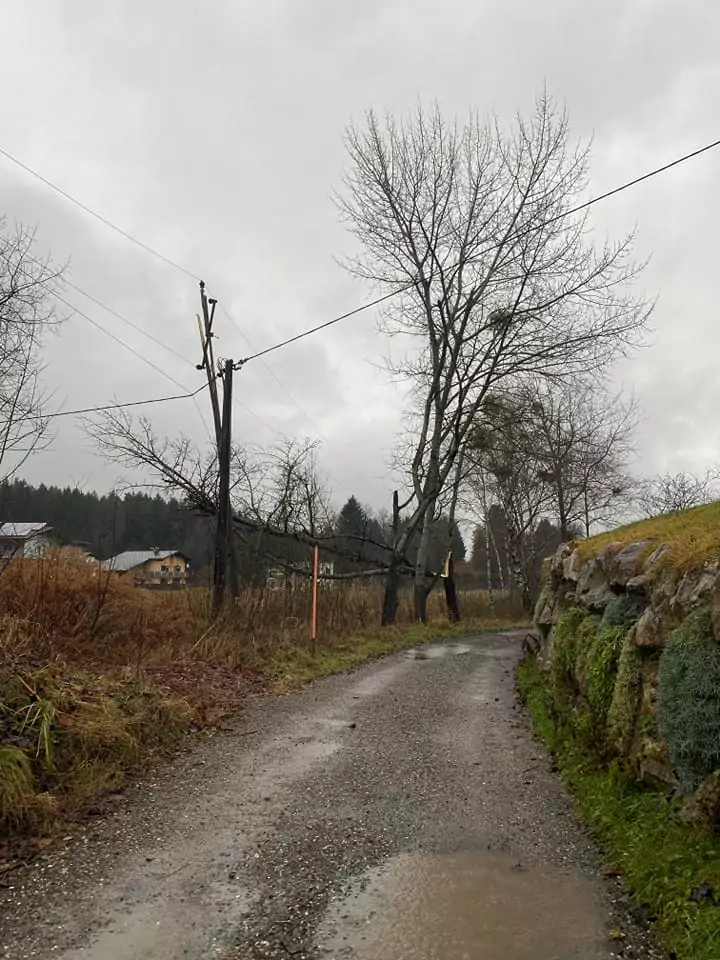 Wind, Regen und Schnee halten die Kärntner Feuerwehren auf Trab