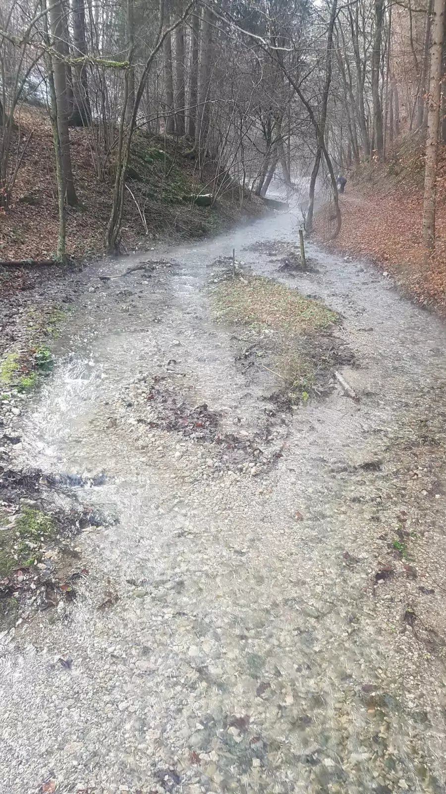 Foto auf 5min.at zeigt das Maibachl beim Warmbad Villach.