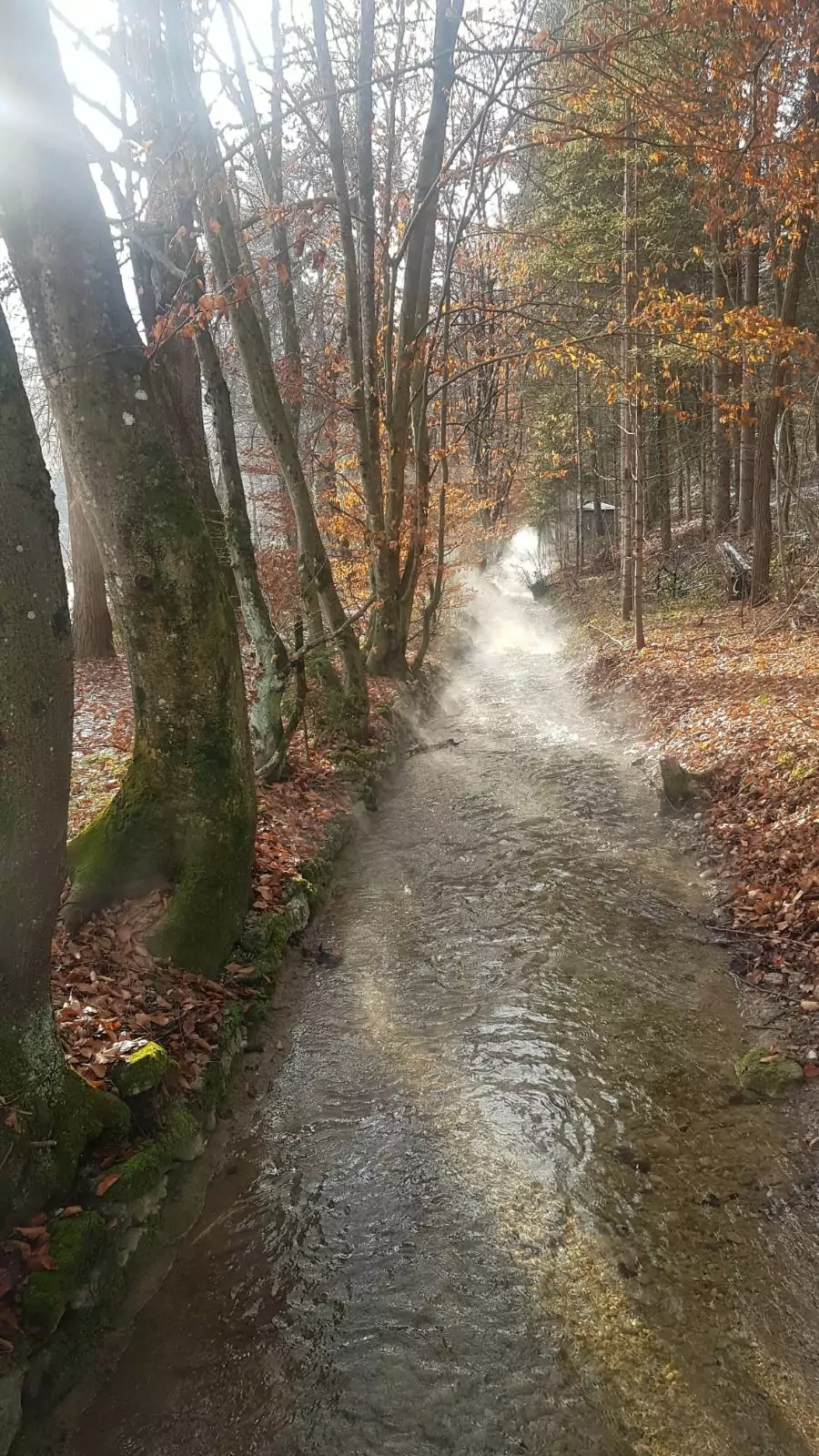 Foto auf 5min.at zeigt das Maibachl beim Warmbad Villach.