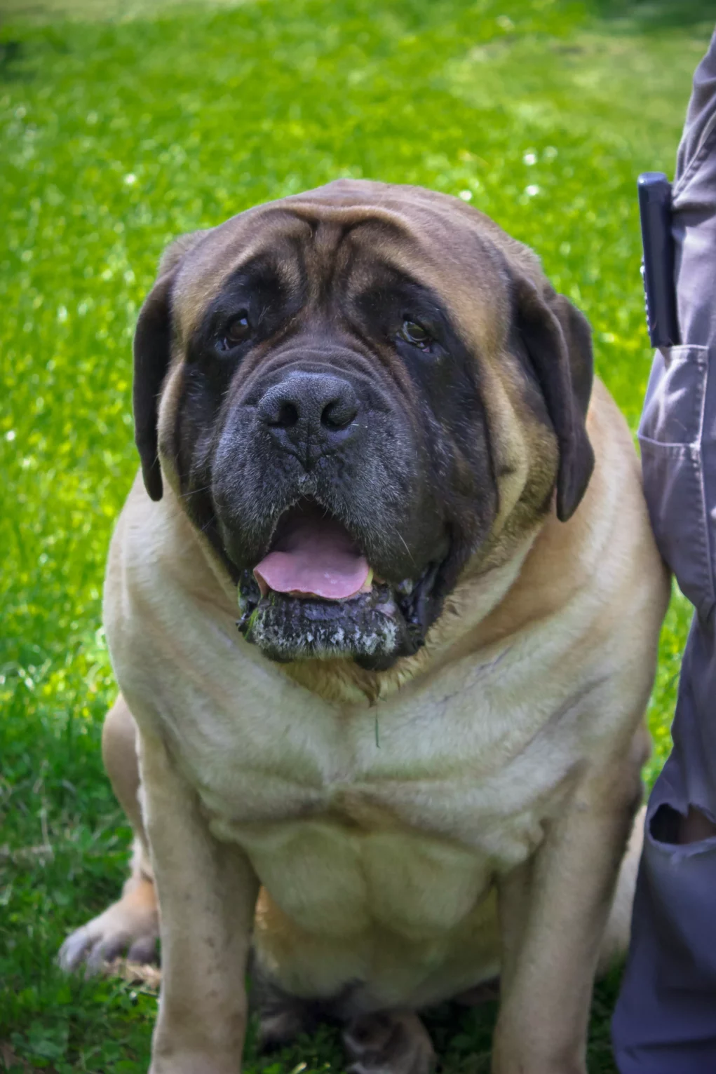 Freunde fürs Leben gesucht? Diese Tiere warten im TiKo auf dich
