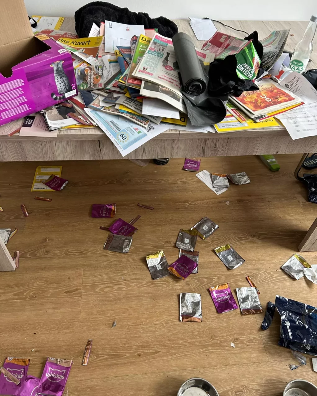 Einfach allein gelassen: Kater schrie tagelang verzweifelt um Hilfe