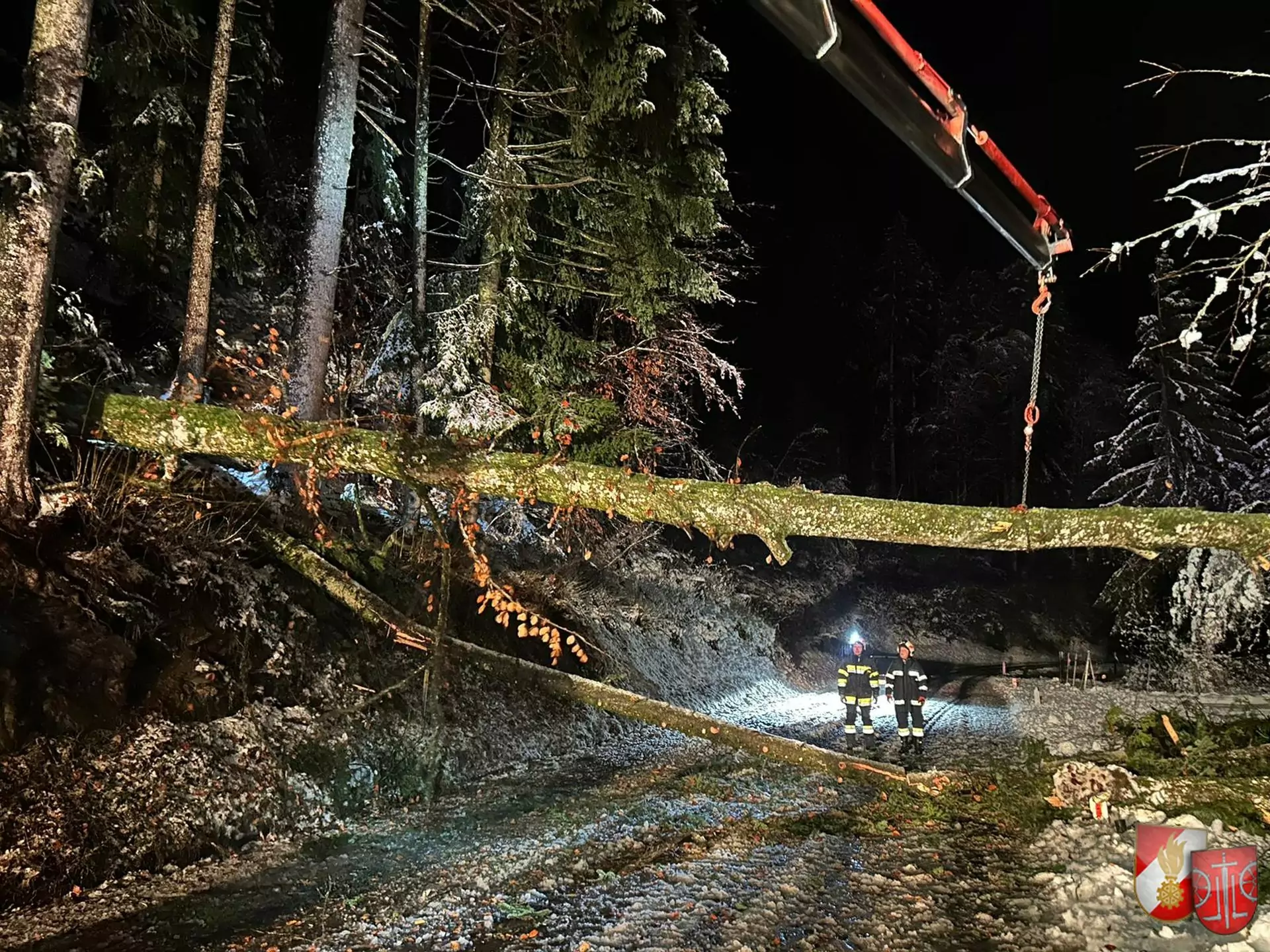 Bild auf 5min.at zeigt die Einsatzkräfte der FF St. Kathrein am Offenegg bei der Bergung eines Baumes.