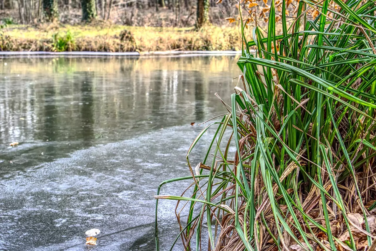 16-Jähriger will Ball aus Wasser fischen und bricht ins Eis ein