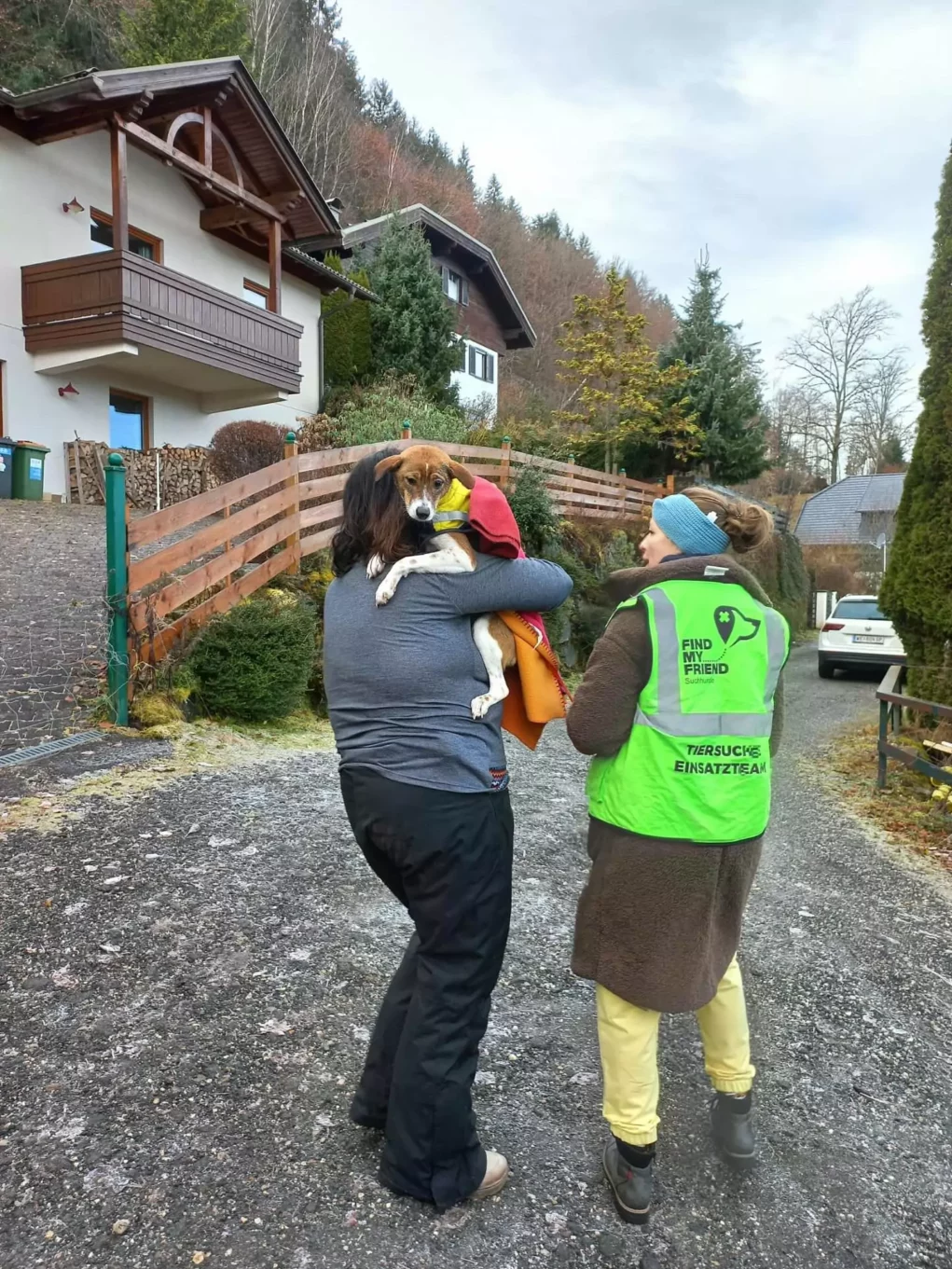 Wahres Weihnachtswunder: Entlaufene Hündin Yeni wiedergefunden