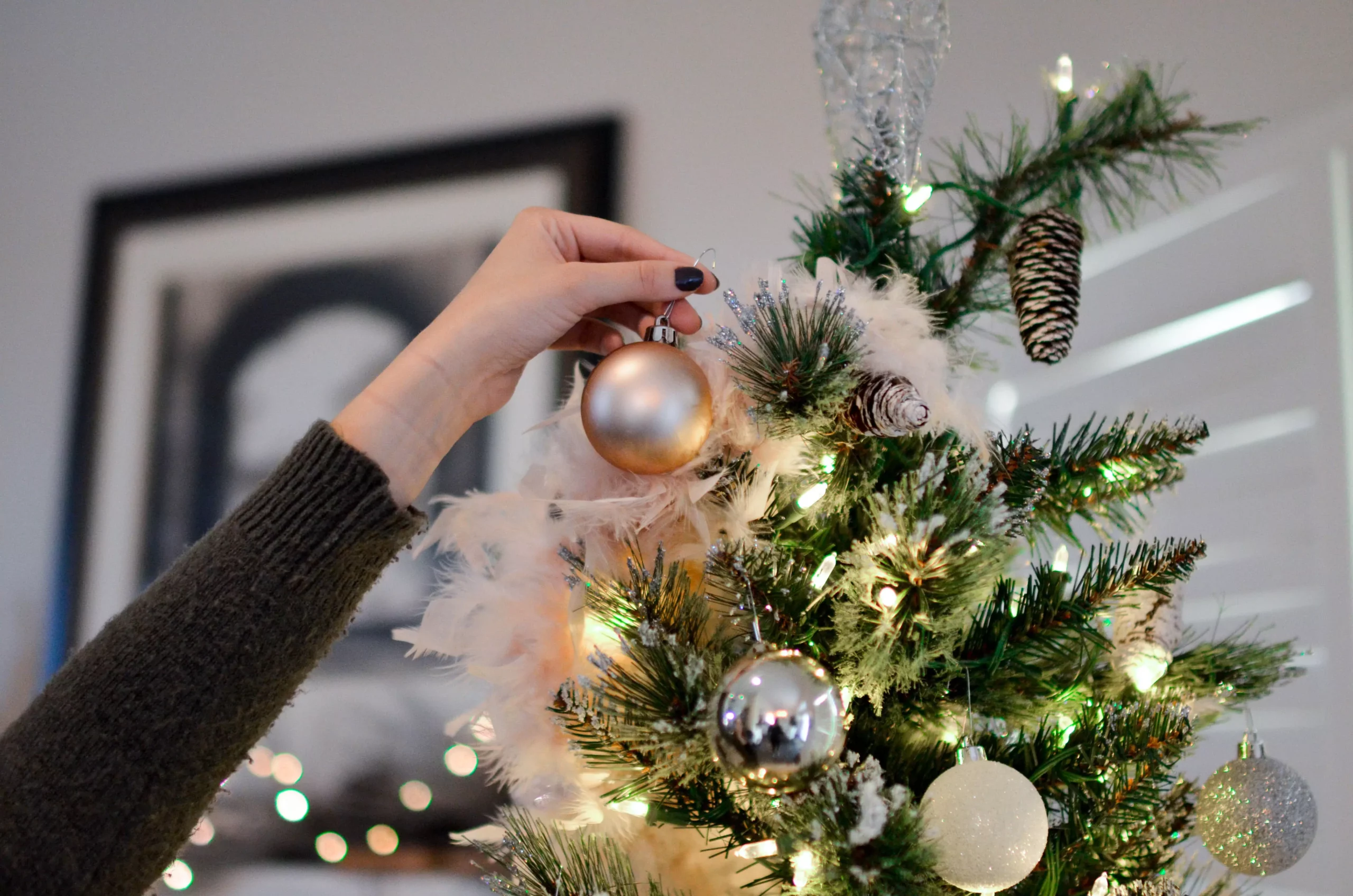 Bild auf 5min.at zeigt einen Weihnachtsbaum.