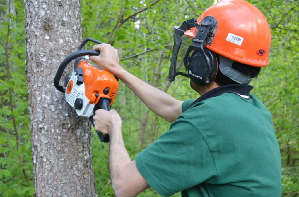 Ein Bild auf 5min.at zeigt einen Forstarbeiter, der mit einer Motorsäge hantiert.