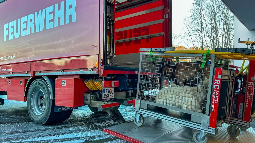 Bock auf Abenteuer: Ausgeb&uuml;xte Ziegen hielten Einsatzkr&auml;fte auf Trab