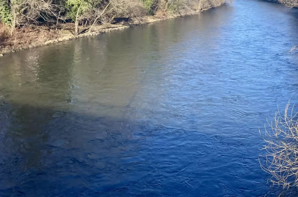 Foto auf 5min.at zeigt die Mur