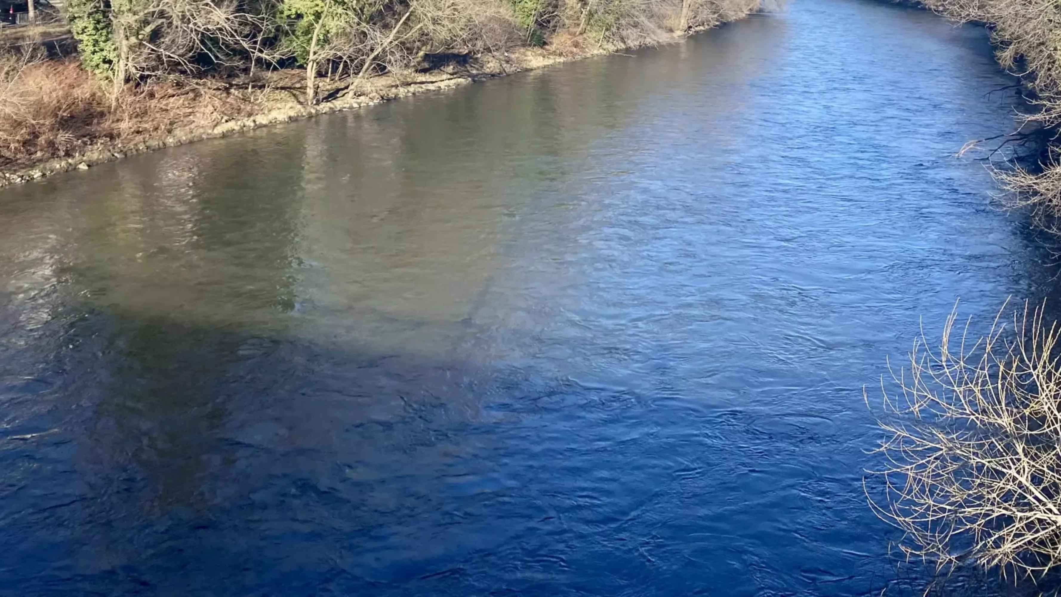 Foto auf 5min.at zeigt die Mur